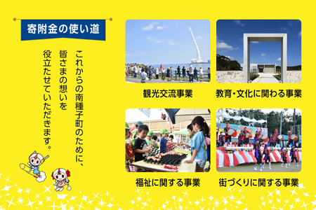 【返礼品なし】応援寄附金 観光 1,000円【南種子町】