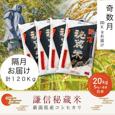 ふるさと納税 上越市 【発送月固定定期便】【奇数月】謙信秘蔵米20kg全6回