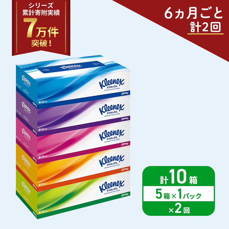 【ふるさと納税】 定期便 ティッシュ クリネックス 5箱 (6ヶ月ごと計2回) 日用品 日用雑貨 生活用品 必需品 備蓄 防災 災害 新生活 消耗品 生活必需品 上質 高品質 肌ざわり ボックスティッシュ テッシュ ティシュ らくらく 節約 家計の味方 日本製 宮城県 岩沼市
