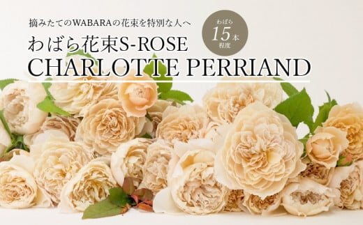 わばら花束S-ROSE CHARLOTTE PERRIAND  WABARA  摘みたて ブーケ 花束 Rose Universe