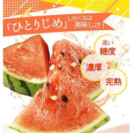 【2027年6月中旬より順次発送予定】紀州和歌山産小玉スイカ「ひとりじめ」1玉【1421263】