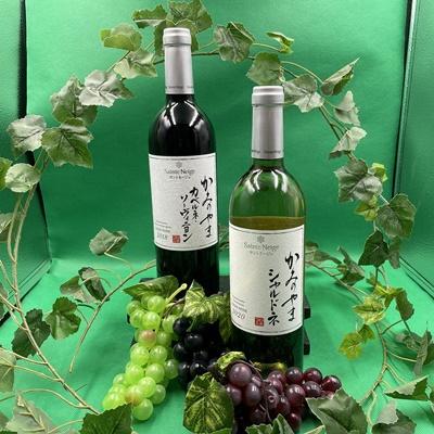 ふるさと納税 上山市 サントネージュかみのやま産葡萄　2本セット　0141-2610