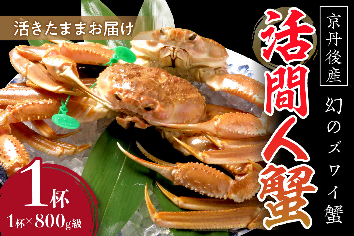
                  【幻のズワイ蟹】京丹後産 活間人蟹 鮮度抜群、活きたままお届け！！ 800g級×1杯　幻のブランド「間人蟹」 蟹 かに カニ お取り寄せ グルメ 魚介 京都 京丹後 たいざ ズワイガニ 甲殻類 姿 かに味噌 かに身 1匹　YK00081
                