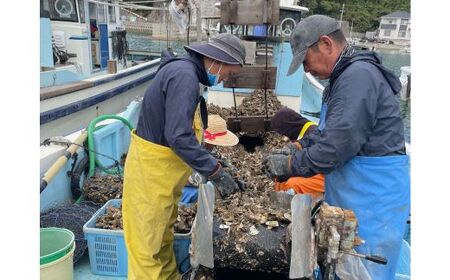 【2026年発送！】日生頭島殻付牡蠣「海の恵」大粒30個【生鮮 牡蠣 日生産 ひなせ カキ かき 海のミルク 加熱用】