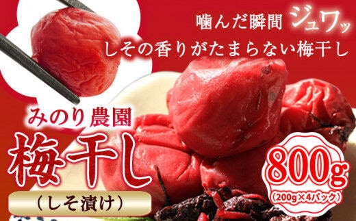 
										
										うめぼし 800g (しそ漬け)《30日以内に出荷予定(土日祝除く)》熊本県 葦北郡 津奈木町 梅 梅干し 天日干し みのり農園---st_minoumesiso_30d_23_9000_800g---
									