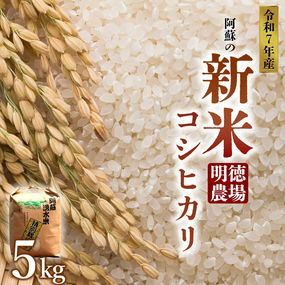 【ふるさと納税】【予約】新米 コシヒカリ R7年 R7年度 5kg 白米 明徳農場 減農薬 特別栽培米 米 お米 美味しい 寒暖差 湧き水 お取り寄せ 熊本県 阿蘇市