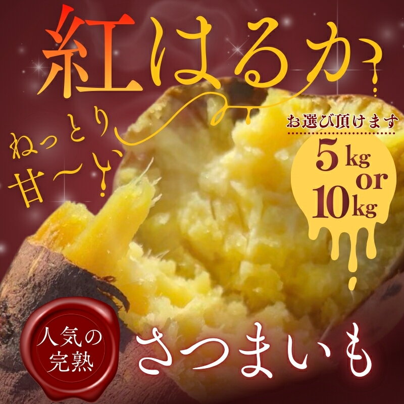 【ふるさと納税】【2026年11月発送分先行予約！】紅はるか ＜内容量をお選びください＞ ｜ さつまいも 5kg 10kg 熟成 数量限定 甘い 焼き芋 バター焼き サラダ 天ぷら スイーツ スイートポテト 大阪 河内長野 中村オリジナルぶどう園 訳あり 料理 国産 野菜 食育