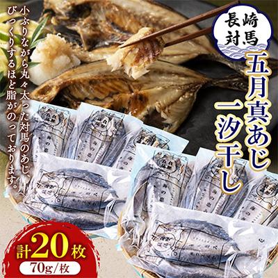 ふるさと納税 対馬市 対馬五月真あじ一汐干し 　2箱(各10枚)計20枚