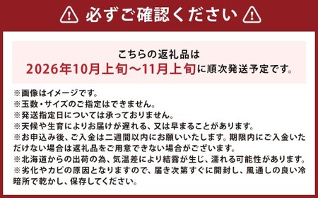 北海道産 かぼちゃ （ブラックのジョー） 約5kg セット 山田農場 南瓜 カボチャ 野菜 やさい 北海道 京極町 常温 【2026年10月上旬-11月上旬迄発送予定】