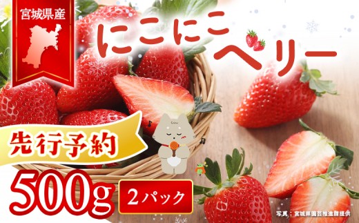 
                  【先行受付】宮城県産いちご「にこにこベリー」約500ｇ（250ｇ×2）| ふるさと納税 宮城県 丸森 いちご 苺 イチゴ ストロベリー フルーツ 果物 くだもの オリジナル品種 デザート スイーツ 甘味 酸味 断面 赤い お菓子作り 製菓材料 生食 家庭用 お取り寄せ ワンストップ マイページ ベリー農園かんの 丸森町【58001AA0101】
                