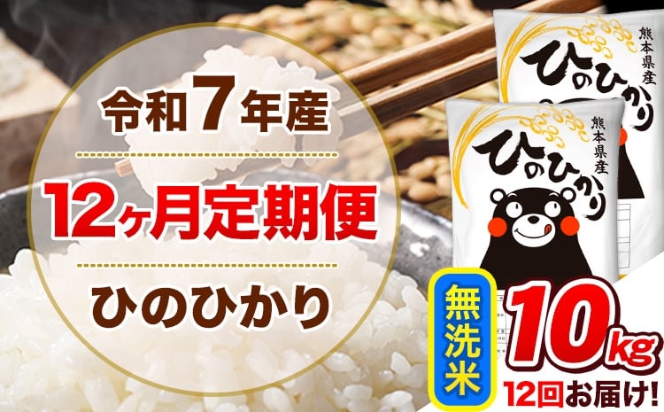 
             令和7年産【12ヵ月定期便】 無洗米 ひのひかり 定期便 10kg 5kg×2袋《お申込み翌月から出荷》 熊本県産 精米 ひの 米 こめ ヒノヒカリ コメ お米 
          