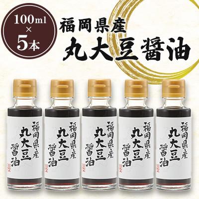ふるさと納税 北九州市 福岡県産 丸大豆醤油 100ml×5本セット 計500ml