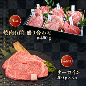 近江牛 食べ比べ 定期便 6ヶ月 牛肉 牛肉 牛肉 牛肉 牛肉 牛肉 牛肉