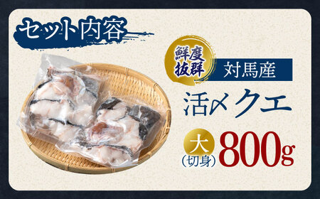使い道いろいろ！ 活〆 クエ （ アラ ） 切身大 《 対馬市 》 【 対馬逸品屋 】 海鮮 高級 鍋 おもてなし [WAF013] コダワリクエ こだわりクエ おすすめクエ おススメクエ 人気クエ 