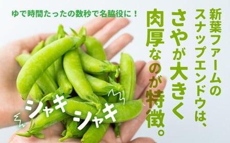 【先行予約】 スナップエンドウ 560g 春 | 春 FN-Limited-PR