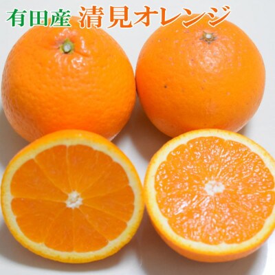 【濃厚】有田産清見オレンジ約5kg(M～3Lサイズおまかせ)ご家庭用(九度山町)【1506347】