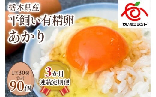 【定期便3回】[平飼い有精卵30個] 濃厚な黄身が特徴 ワタナベファームのおてんば長女【平飼い有精卵あかり】 (毎月お届け）