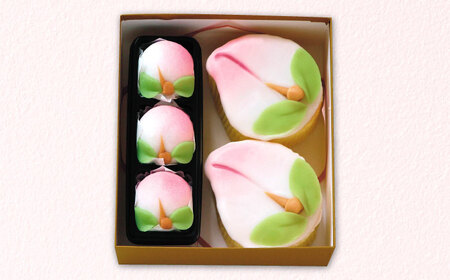 【3回定期便】【長崎縁起菓子】桃カステラ2個・桃まんじゅう3個 詰合せ（小）/ カステラ まんじゅう 桃の節句 ひな祭り / 諫早市 / 株式会社梅月堂[AHBN025]