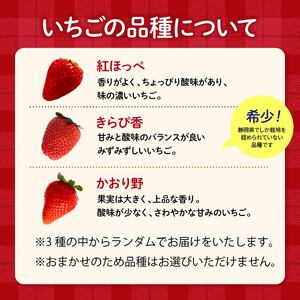 【先行予約 2025年11月より順次発送】 フレッシュ いちご 1kg 以上 おまかせ いちご