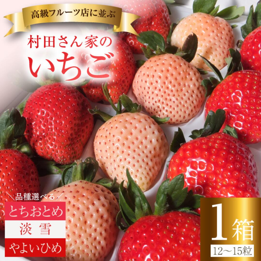 【ふるさと納税】いちご イチゴ 食べ比べ たっぷり 1箱 12〜15粒！ 白いちご 淡雪 ジューシー とちおとめ 大粒 甘い やよいひめ 紅白 お祝い 贈答 にも オススメ 苺 村田さん家のいちご 村田農園 茨城県 鉾田市 | 1月 発送分 予約 受付開始