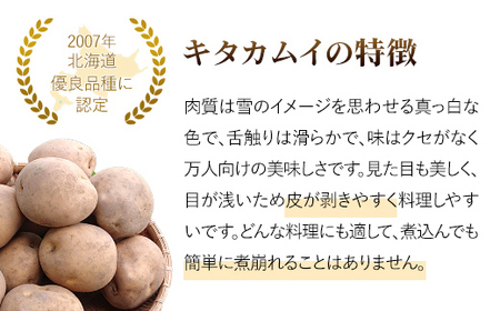【2025年9月下旬より発送】キタカムイ１０ｋｇ　厚沢部産　【Mサイズ】 【 ふるさと納税 人気 おすすめ ランキング じゃがいも ジャガイモ キタカムイ 野菜 肉じゃが カレー コロッケ 煮物 フラ