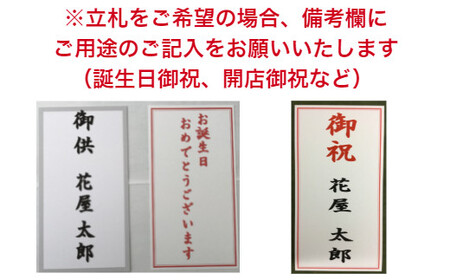 フォアスPREMIUM胡蝶蘭3本立ち48輪以上 リップ (B1034-1) 