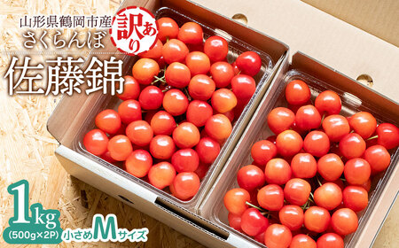 【令和8年産先行予約】【訳あり】さくらんぼ 佐藤錦 Mサイズ バラ詰め 1kg（500g×2P） 鶴岡市産 大膳農園