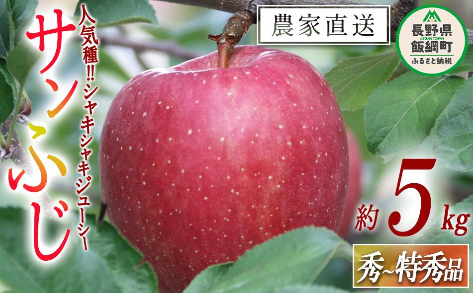 りんご サンふじ 秀 ～ 特秀 5kg ヒライ農園 沖縄県への配送不可 2023年12月上旬頃から2023年12月下旬頃まで順次発送予定 令和5年度収穫分 信州の環境にやさしい農産物認証 減農薬栽培 長野県 飯綱町