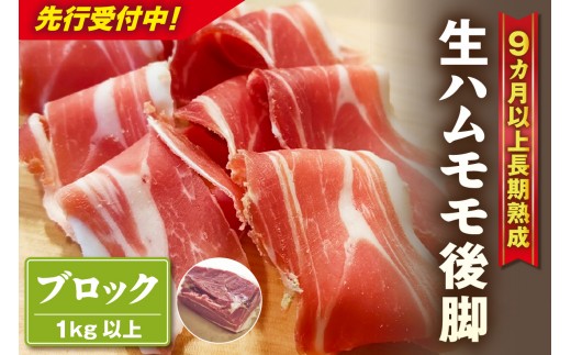 
                  【先行予約】【2026年10月より順次発送】生ハム モモ（ハモン）後脚【ブロック】1kg以上 ハモンテンパク【長期熟成9ヵ月以上】｜生ハム ハモンテンパク WBH 9ヵ月以上 あいぽーく豚 熟成 後脚 ハモン ブロック 塊 国産 豚肉 スライス サラダ パーティー ワイン つまみ 家飲み グルメ 冷蔵 愛知県 常滑市
                