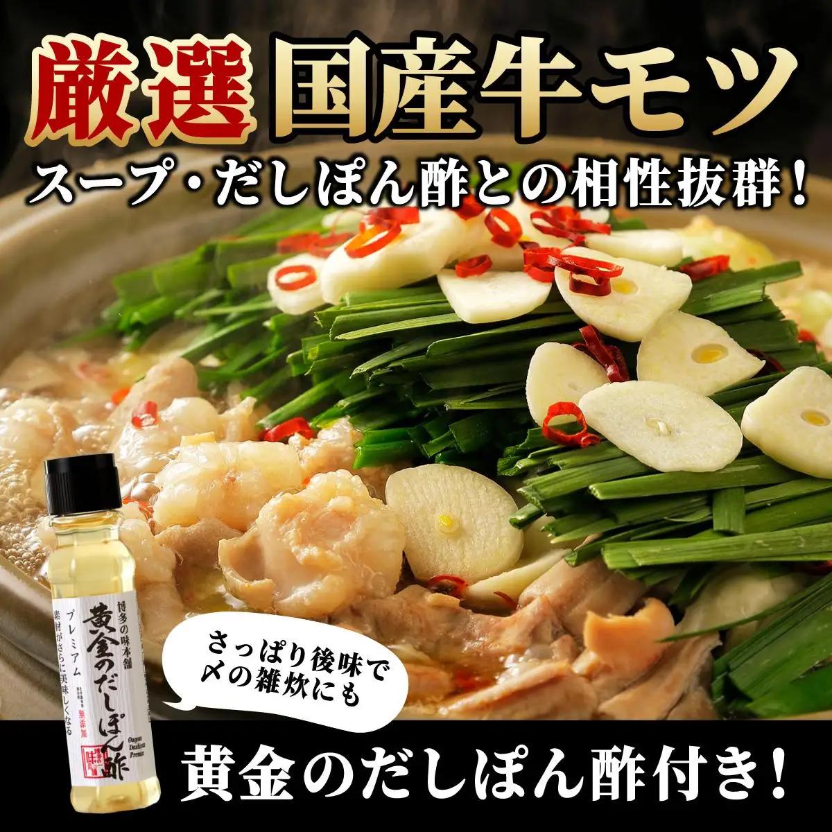 博多もつ鍋 醤油味 2-3人前 & 辛子明太子 1kg 大満足セット