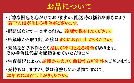 【100年続く梨農家直送】【化粧箱入り】秋丸（王秋）5-8個入（約3kg） / 梨 なし 伊万里梨 フルーツ 果物 / 佐賀県 / 大川三世代 [41AEAB011]