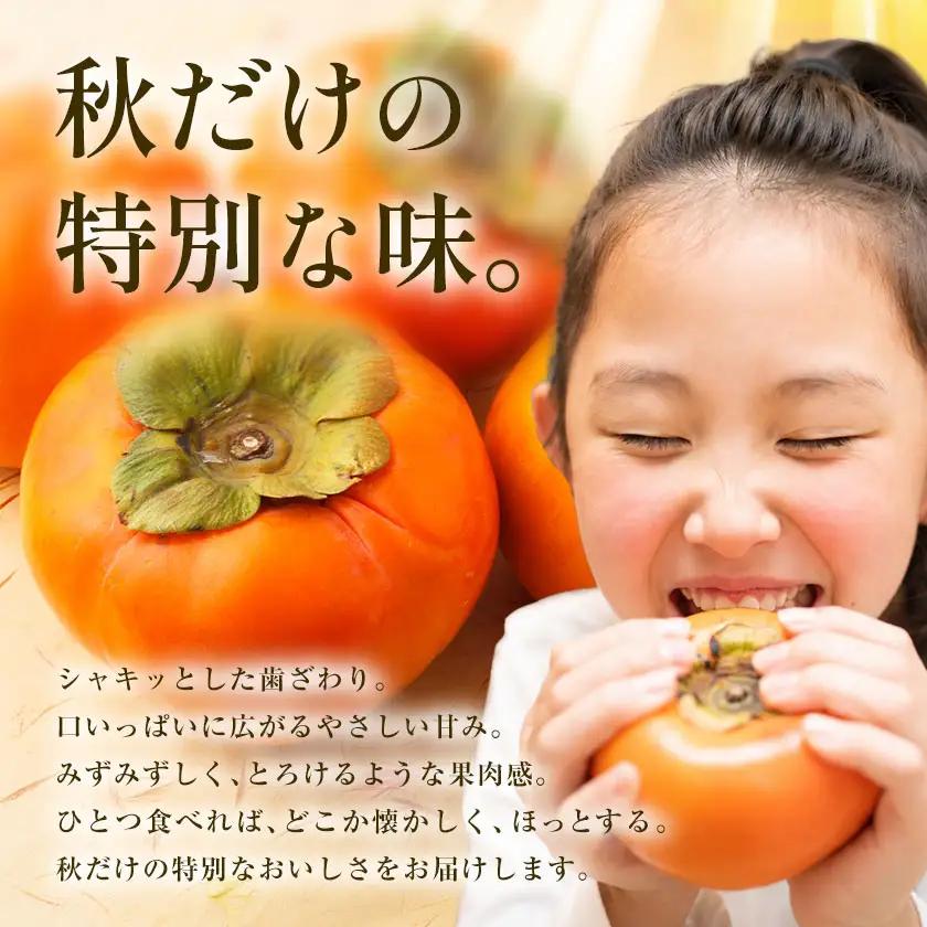 訳あり たねなし柿 1.5kg 柿