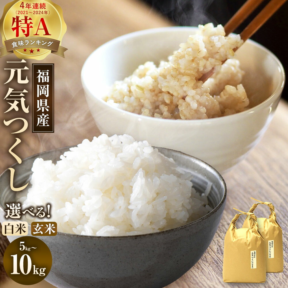 【ふるさと納税】【令和7年産】福岡県産 【特A】評価のお米「元気つくし」 ＜選べる種類・内容量＞ 白米 / 玄米 5kg×1袋 / 合計10kg（5kg×2袋） 元気つくし お米 米 こめ コメ 精米 単一原料米 ご飯 ごはん 九州産 国産 福岡県 太宰府市 送料無料