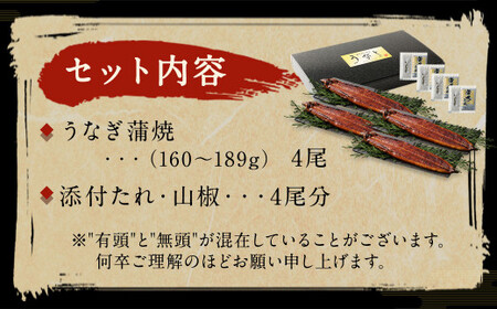 九州産 うなぎ 蒲焼 上 4尾 (1尾あたり160～189g)【順次発送】