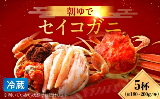 【先行予約/11月7日より順次発送】朝ゆで国産セイコガニ 5杯 | 蟹 かに カニせいこがに セイコガニ せいこ蟹 ボイル 5匹 冷蔵 メス ずわいがに 送料無料 セコガニ せこがに せいこ セイコ せいこガニ セイコ蟹  【配送不可地域：北海道・沖縄・離島】  [BFAA004]