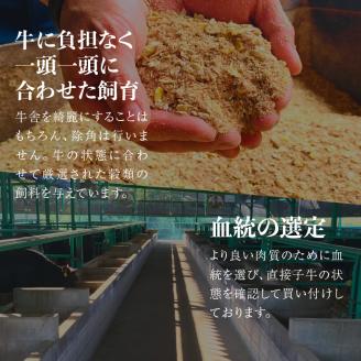 松阪牛 すき焼き用(肩・モモ・バラ)300g