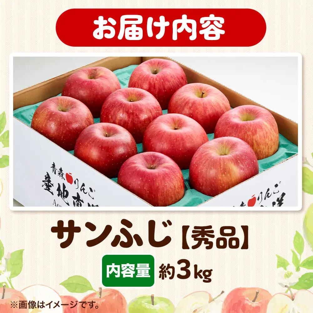 りんご サンふじ 約3kg【秀品】りんご