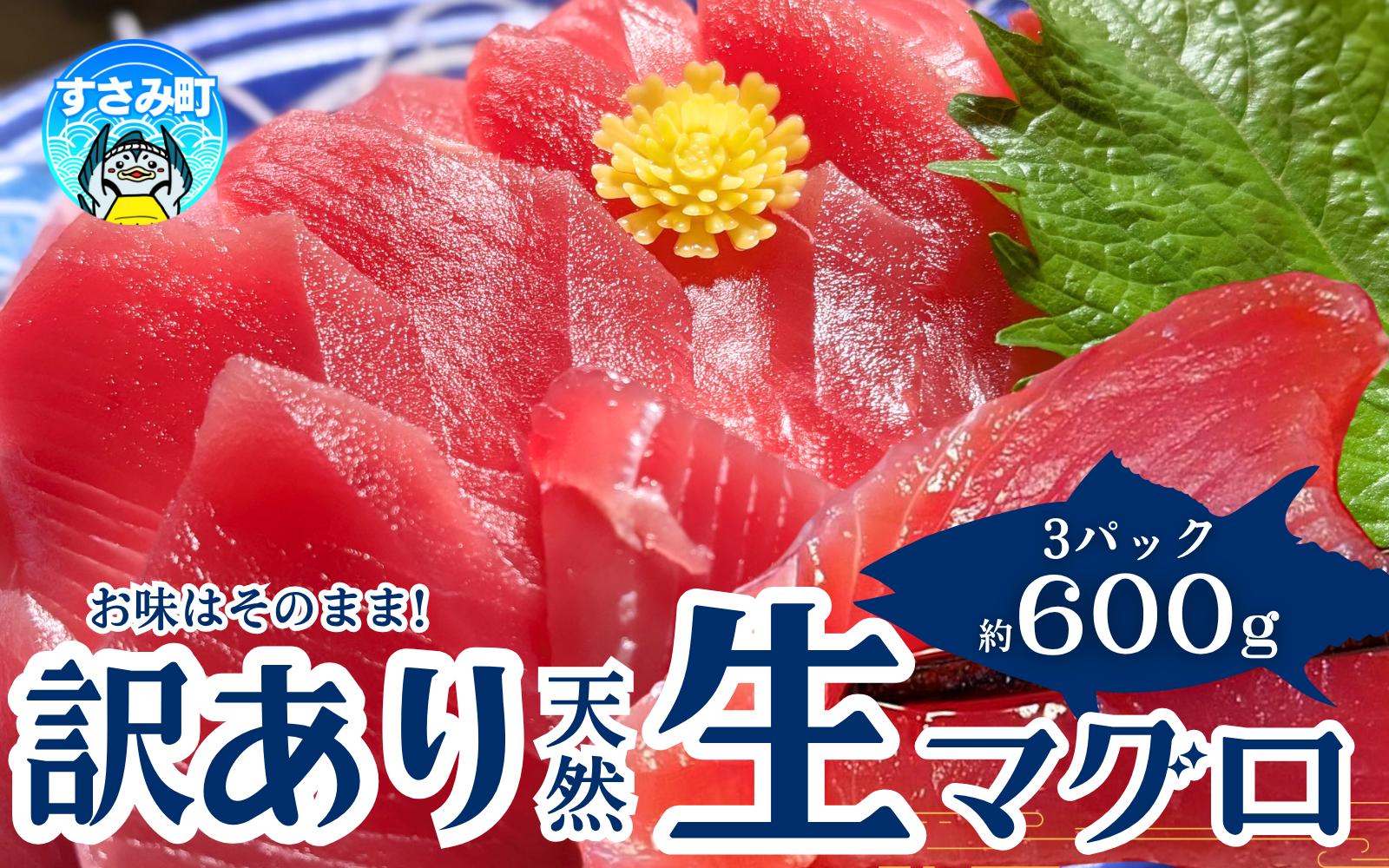 
            【訳あり】和歌山県すさみ産 天然生マグロ 冷凍 生 計600g（約200g×3パック）　まぐろ マグロ 鮪 赤身 海鮮丼 鮪 寿司 海鮮  小分け 刺身 和歌山 すさみ町 キハダマグロ メバチマグロ 大容量 【scp002】
          