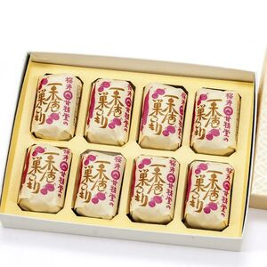 桜井甘精堂 の 栗あん 巣ごもり 8個入 | 和菓子 お菓子 お茶請け 餡子 和風 スイーツ お土産 贈り物 長野県 飯田市 信州