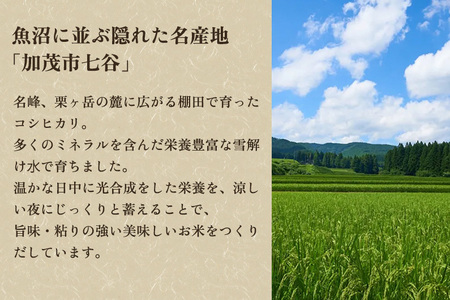 【令和6年産新米】【定期便6ヶ月毎月お届け】新潟県加茂市七谷産コシヒカリ 精米2.5kg（2.5kg×1） 白米 捧運次商店