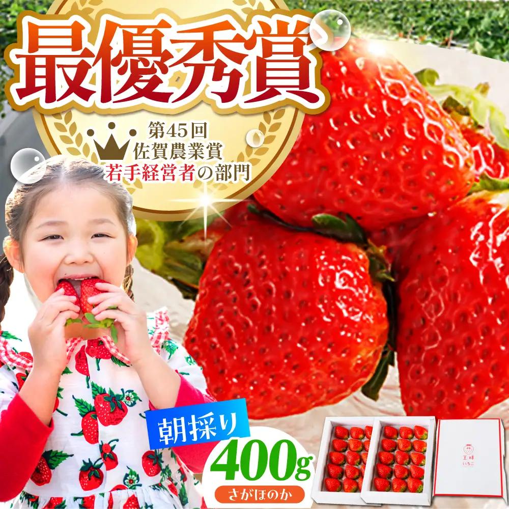 【先行予約】【1?2月発送】王様のいちご（さがほのか）400g HAF014] いちご 果物 フルーツ