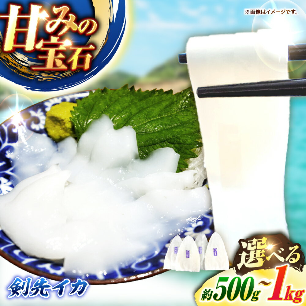 【ふるさと納税】【冷凍】剣先イカ 刺身用 500g / 1kg　剣先烏賊 《壱岐市》【一支國屋】[JCC021] いか イカ 烏賊 海鮮 魚介 刺身 刺し身 お刺身 いか刺身 イカ刺し 甘い 甘味 旨味 柔らかい 肉厚 コリコリとした食感 歯応え 一本釣り