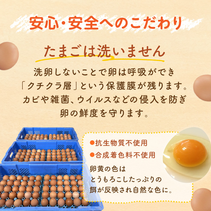 テトラエッグ(40個/月)【12ヵ月定期便】_イメージ3