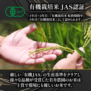 【 プレミアム米 】 令和7年産米 ミルキークイーン 5kg 白米 精米 米 滋賀県 竜王町 有機JAS 転換期間中 ミルキークイーン スピード配送 