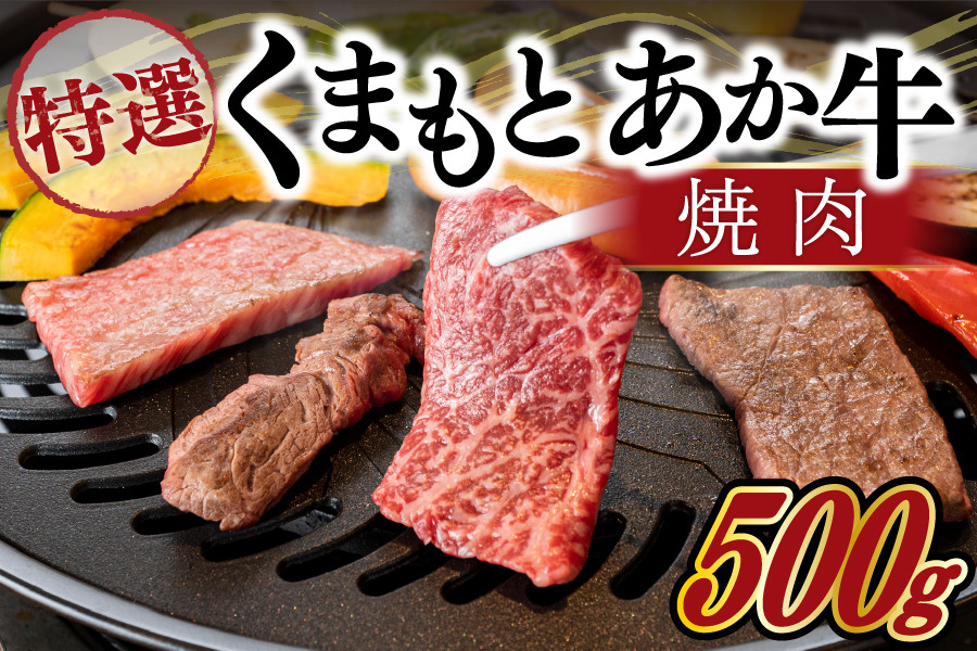 
【熊本県産】ＧＩ認証取得　くまもとあか牛（特選・焼肉用500g）
