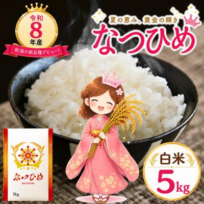 ふるさと納税 糸魚川市 【令和8年産】新潟県糸魚川市能生谷産 なつひめ 　精米　5kg 新潟の新品種