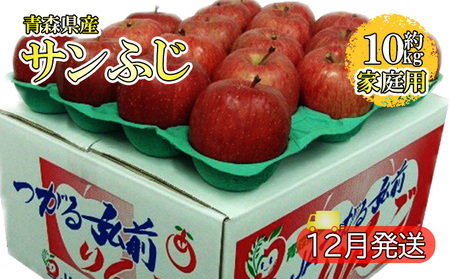 サンふじ 約10kg 家庭用（12月発送）青森県産 果物 りんご 青森りんご 旬のフルーツ 産地直送 