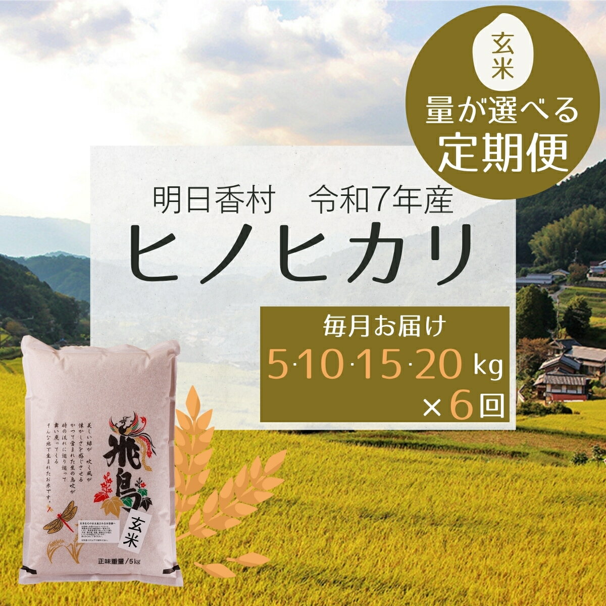 【ふるさと納税】定期便 6ヶ月 玄米 ヒノヒカリ 5～20kg 量が選べる【令和7年 明日香村産】