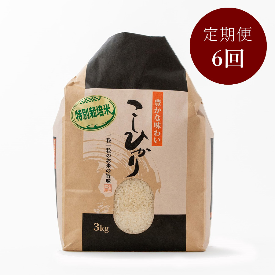 特別栽培米こしひかり3kg　定期便6回