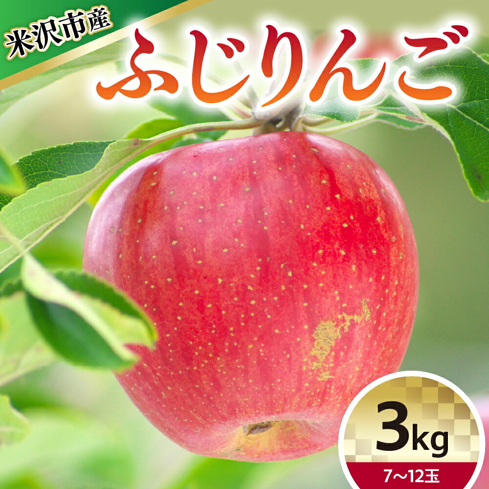 【ふるさと納税】【令和8年産】りんご ふじ 約3kg 7〜12玉【12月上旬〜お届け】2026年産 りんご リンゴ 林檎 ふじ 約3kg 7～12玉 産地直送 直送 農家直送 フルーツ 山形県 米沢市